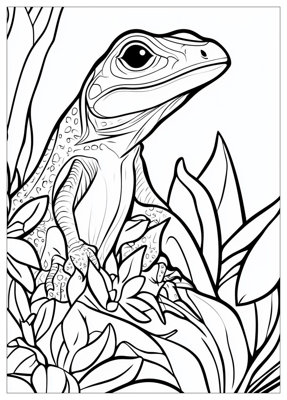 Lizard Coloring Pages-9