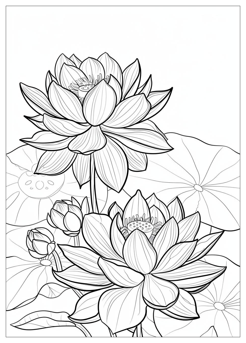 Lotus Flower Coloring Pages-10