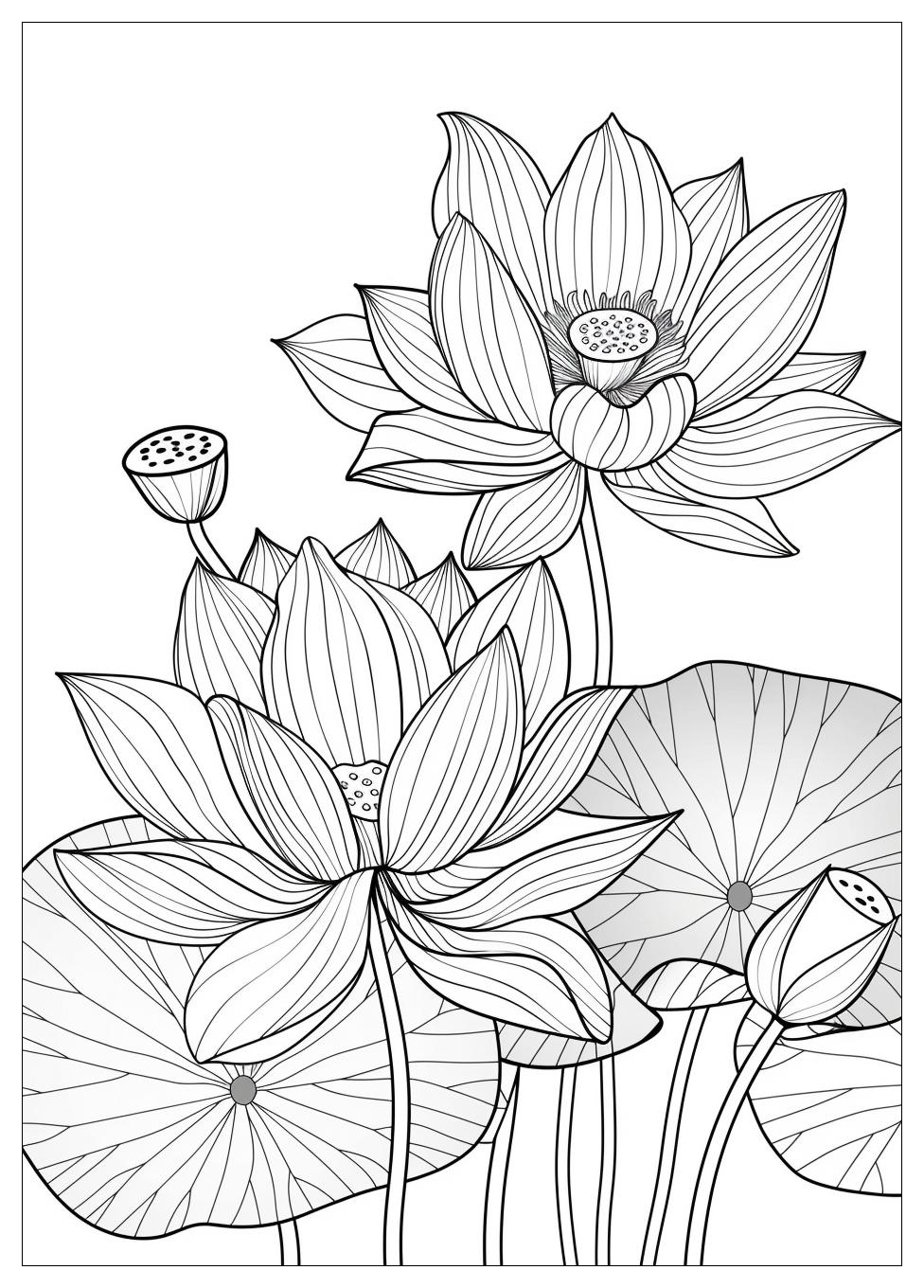 Lotus Flower Coloring Pages-11