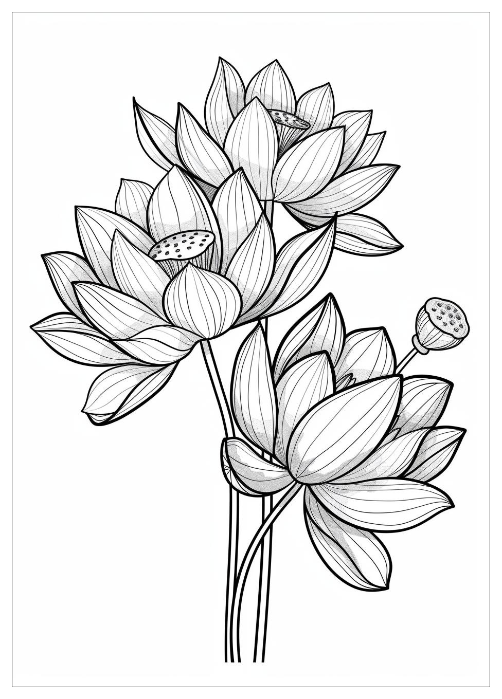 Lotus Flower Coloring Pages-12