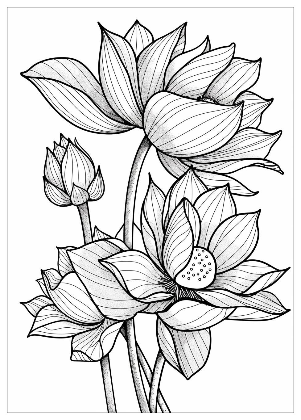 Lotus Flower Coloring Pages-17