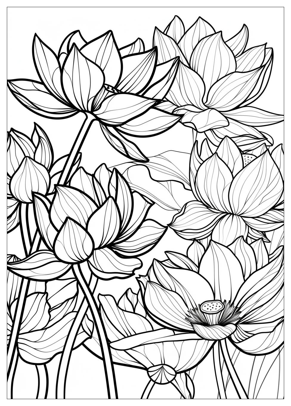 Lotus Flower Coloring Pages-19