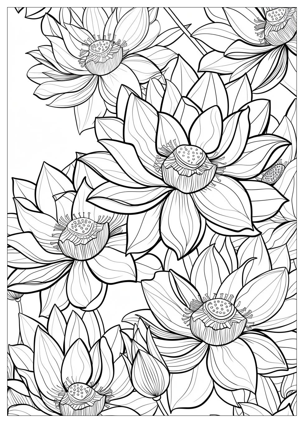 Lotus Flower Coloring Pages-2