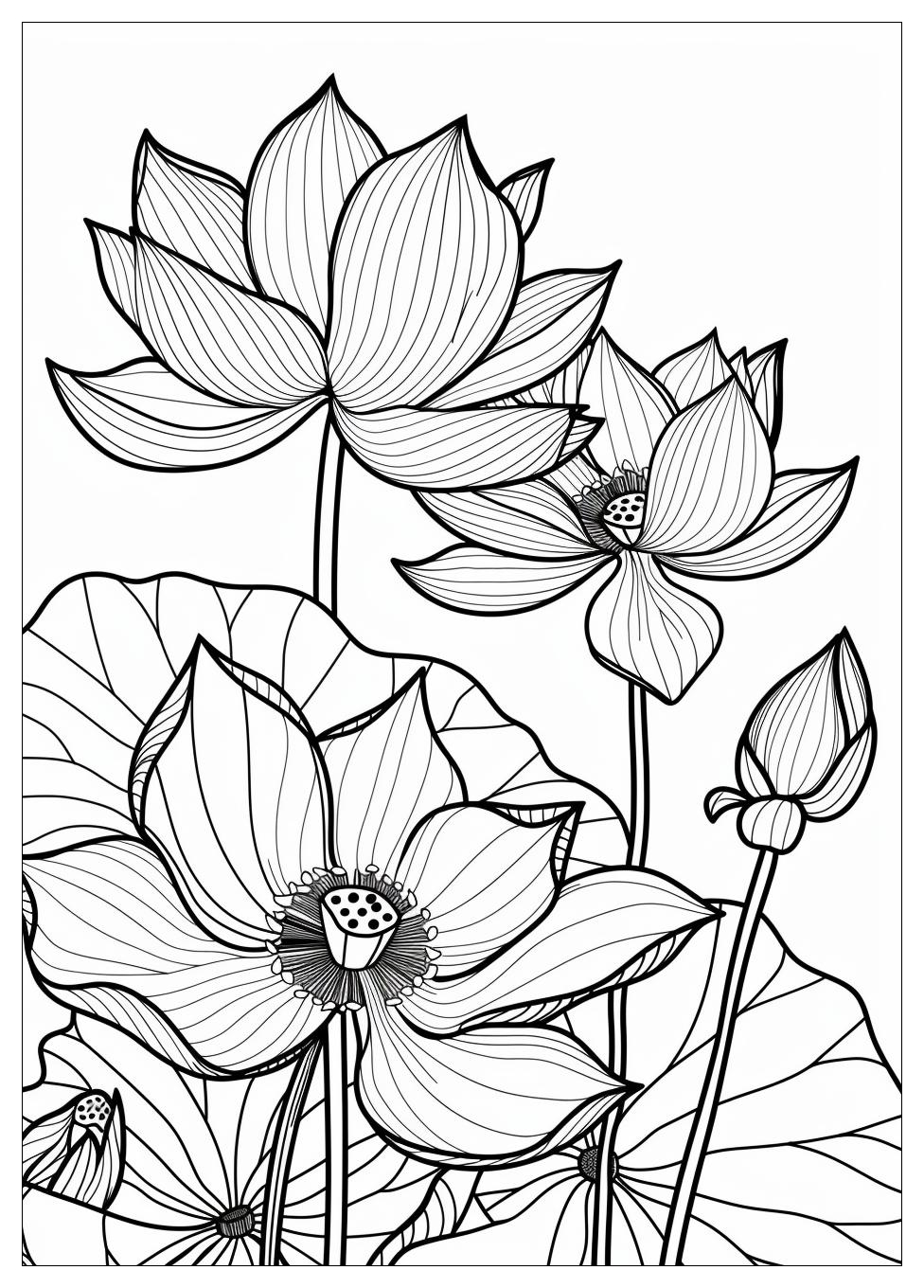 Lotus Flower Coloring Pages-3