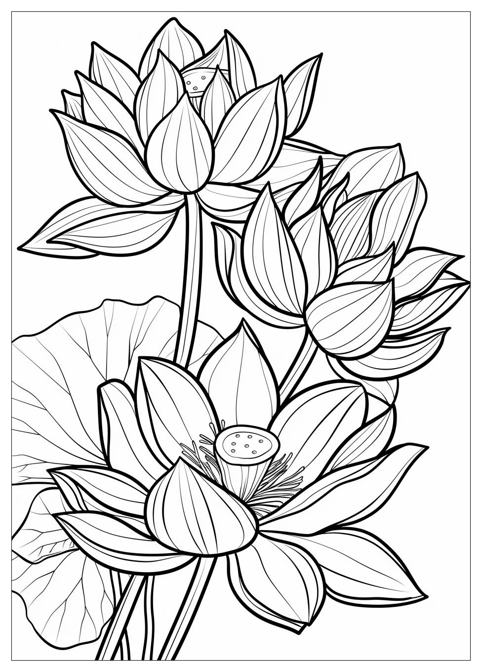 Lotus Flower Coloring Pages-4