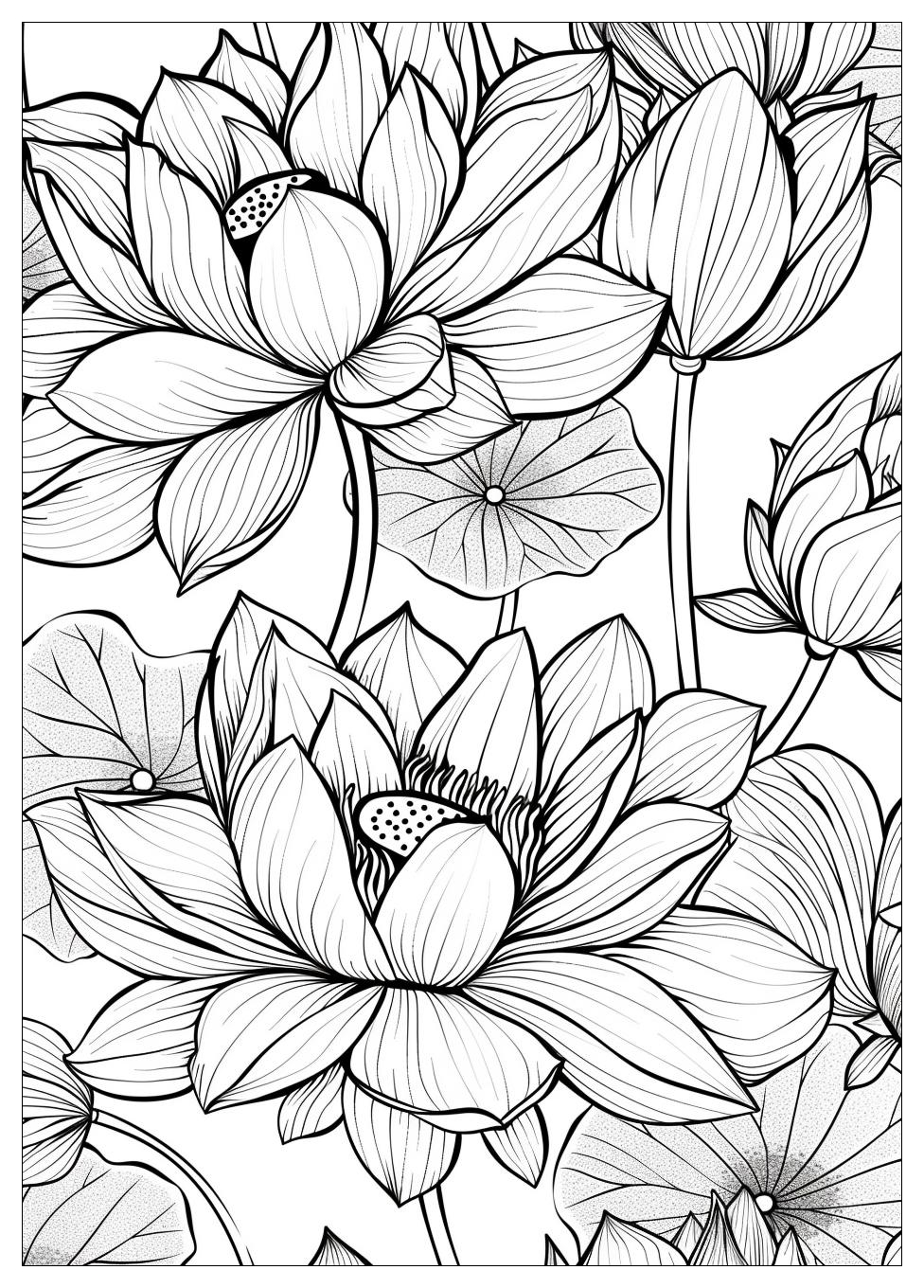 Lotus Flower Coloring Pages-6