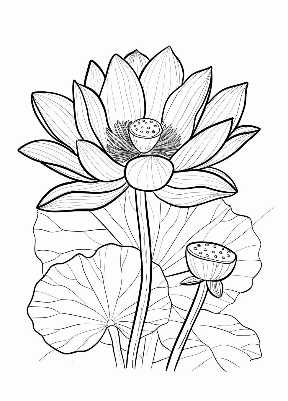 Lotus Flower Coloring Pages-8