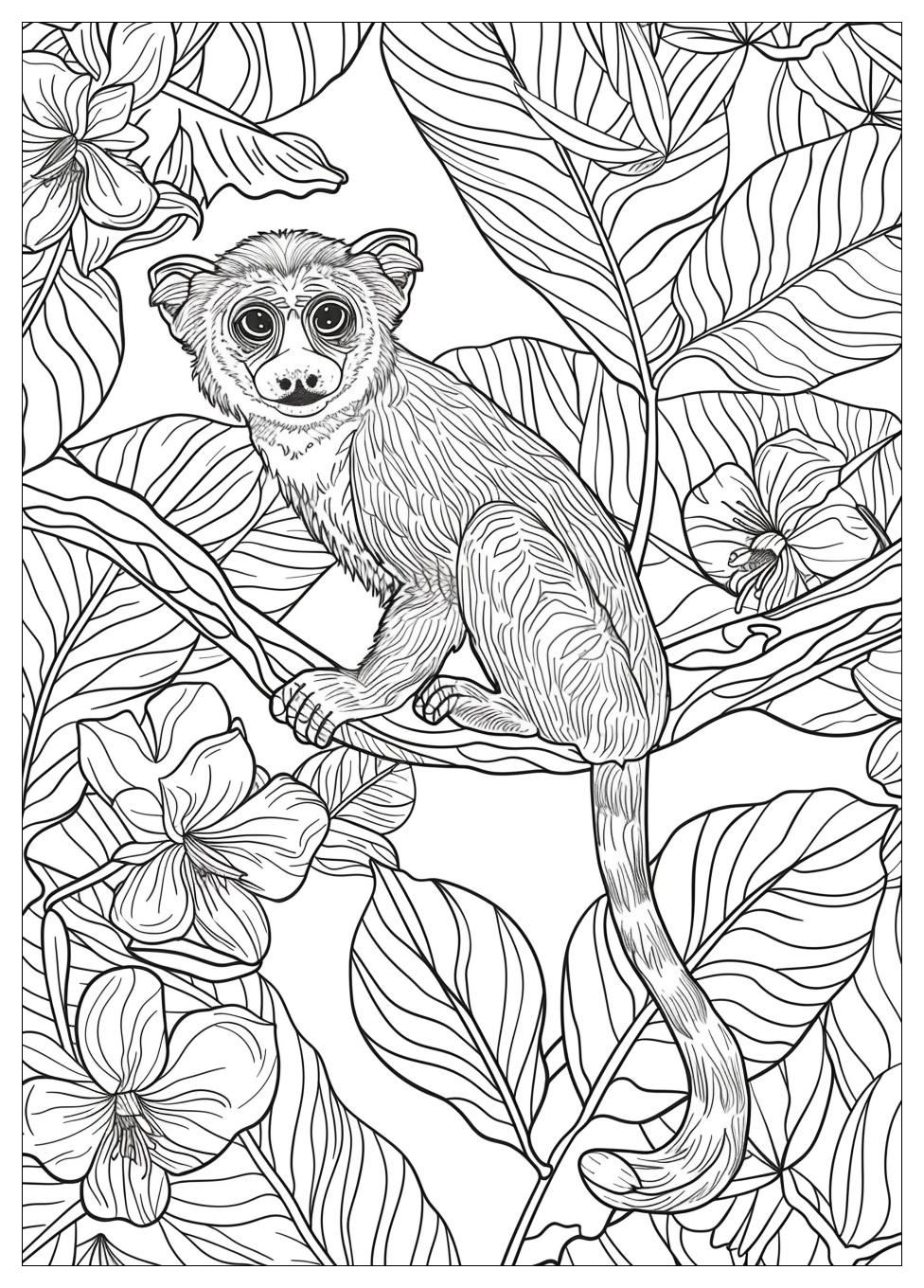 Madagascar Coloring Pages-13