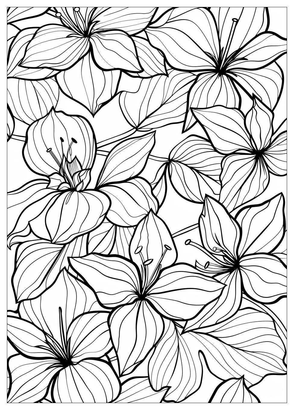 Meme Coloring Pages-17