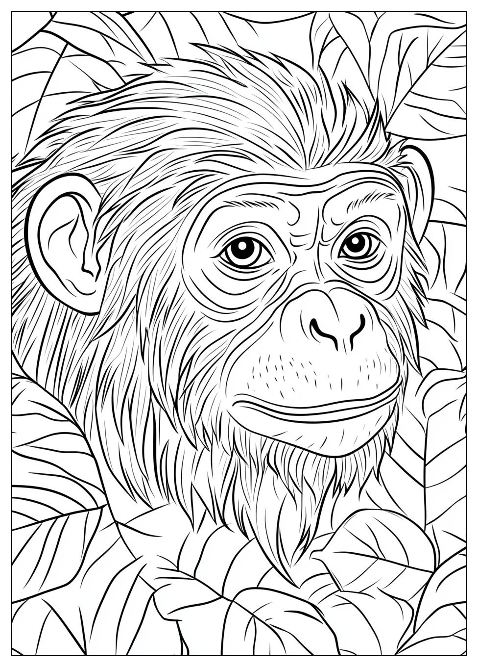 Monkey Coloring Pages-13