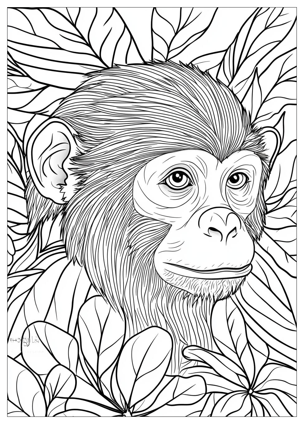 Monkey Coloring Pages-17