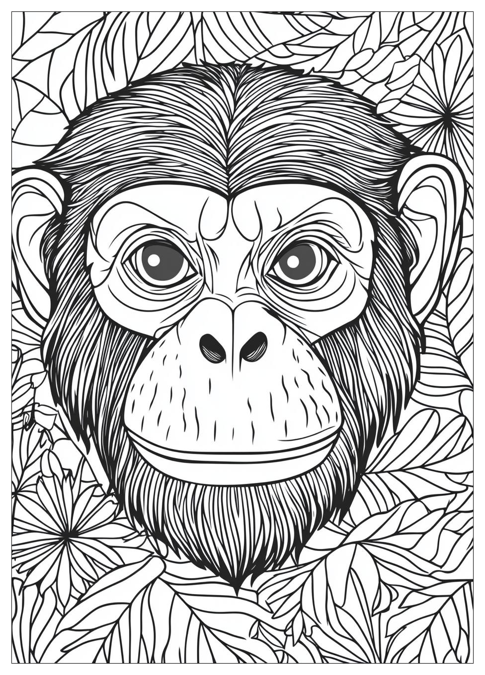 Monkey Coloring Pages-19