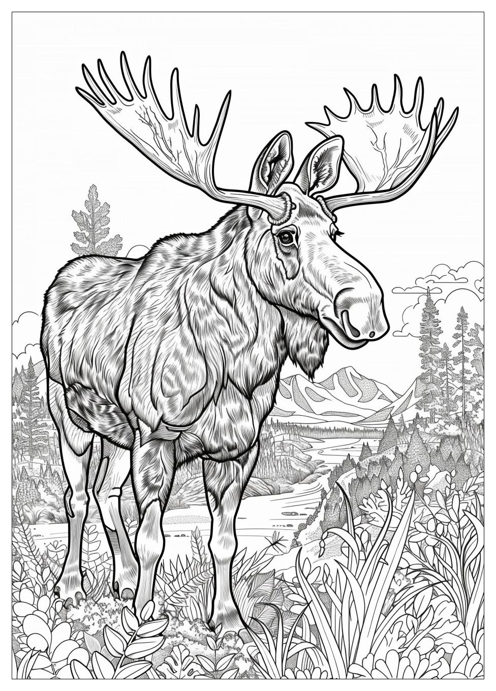 Moose Coloring Pages-14