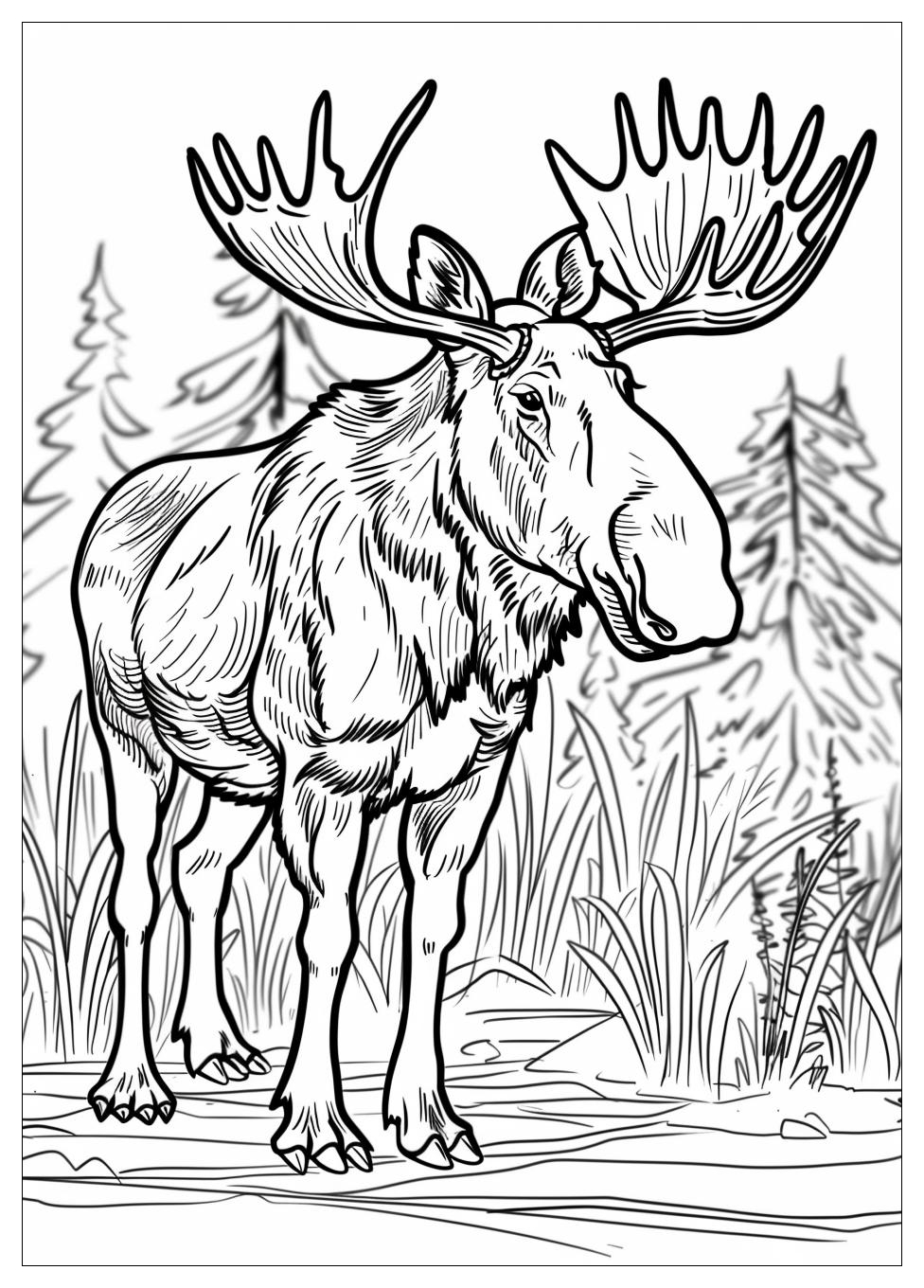 Moose Coloring Pages-3