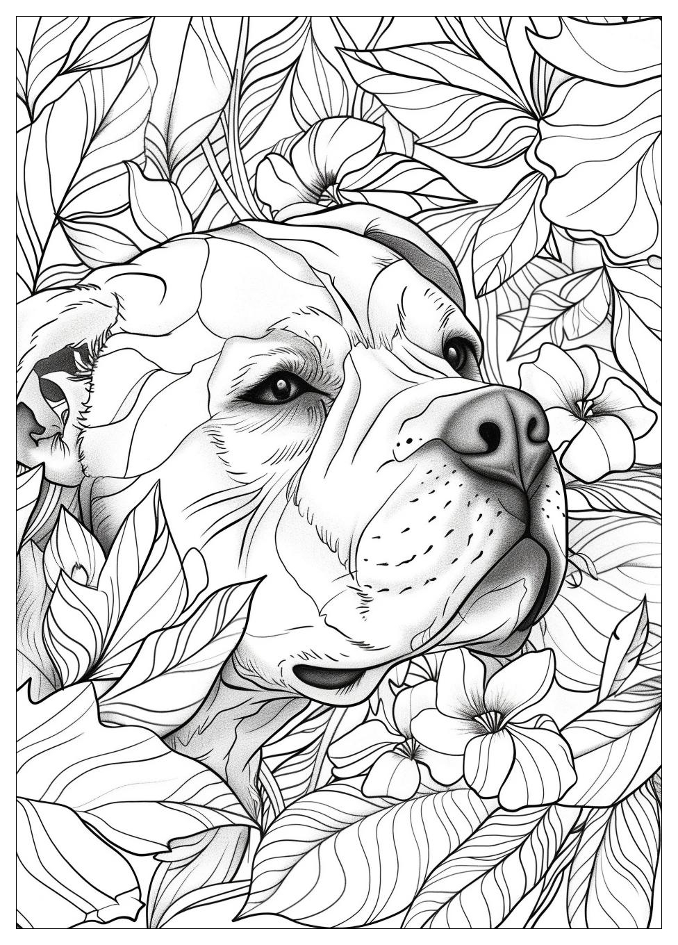 Mr Beast Coloring Pages-14