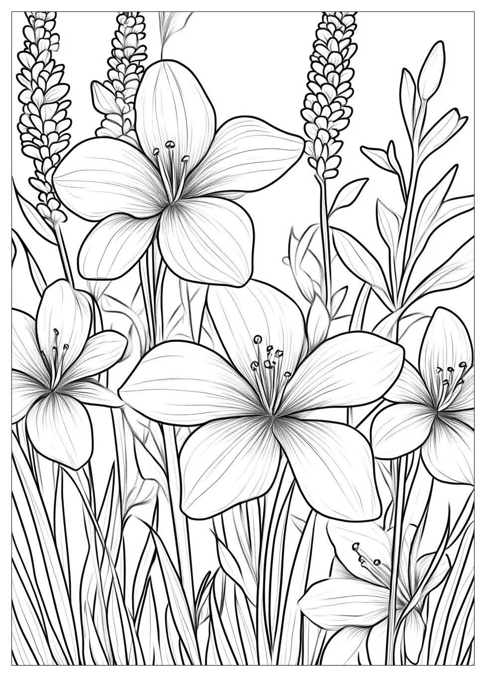 Nature Coloring Pages-6