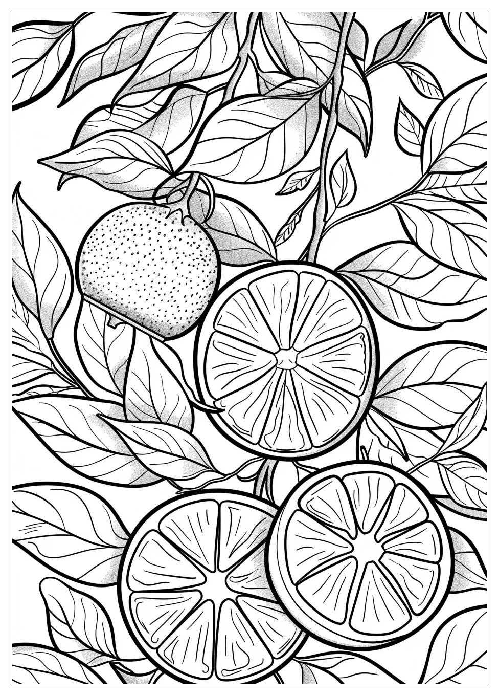 Orange Fruit Coloring Pages-14