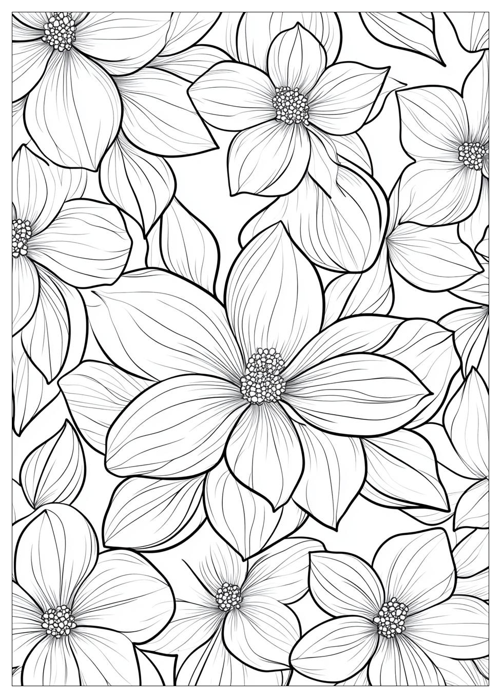 Outdoor Coloring Pages-15