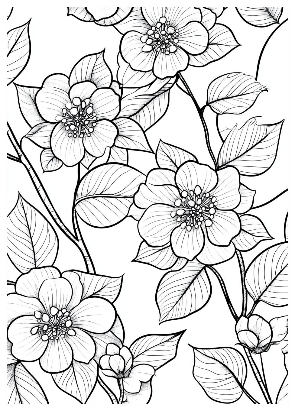 Outdoor Coloring Pages-18
