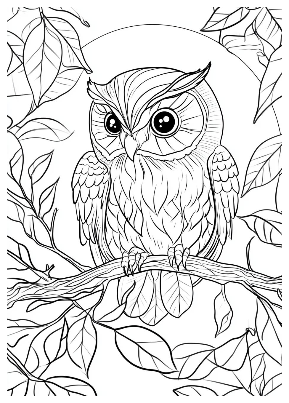 Owl Coloring Pages-12