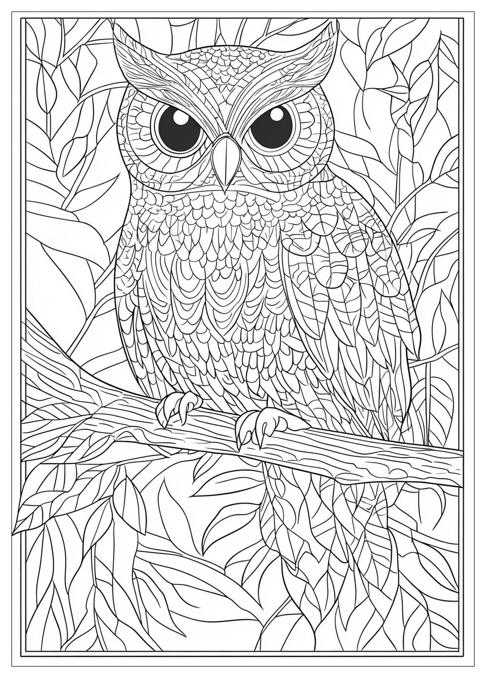Owl Coloring Pages-20