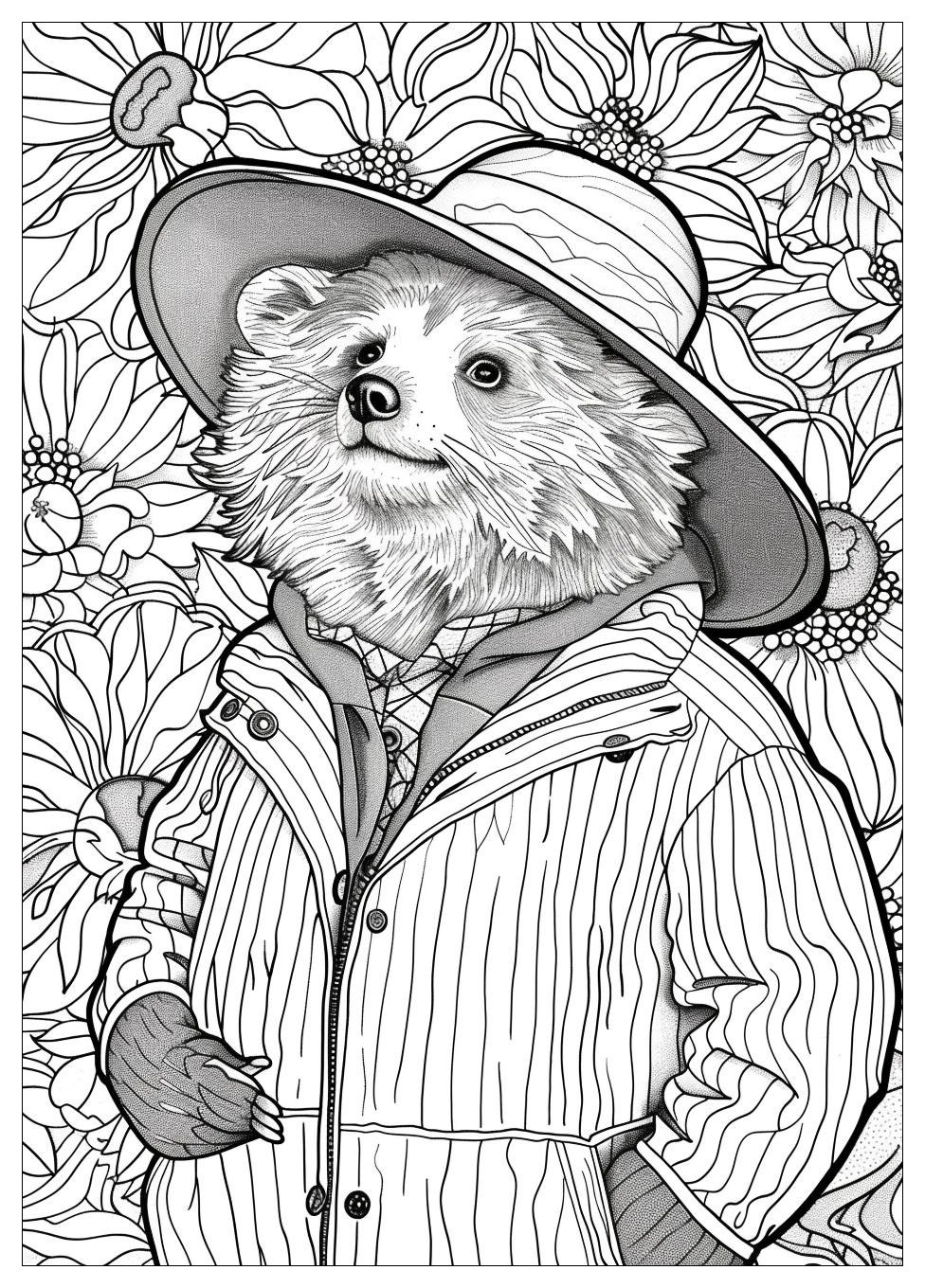 Paddington Coloring Pages-18