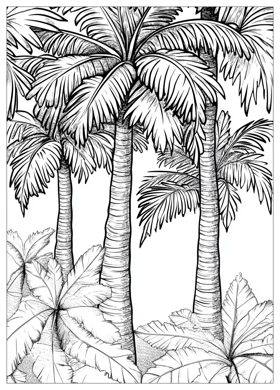 Palm Tree Coloring Pages-13