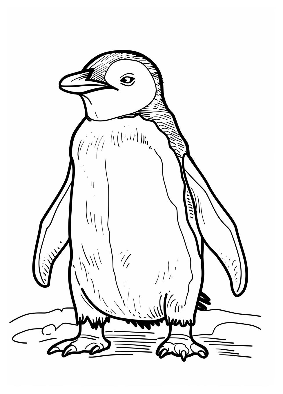 Penguin Coloring Pages-12