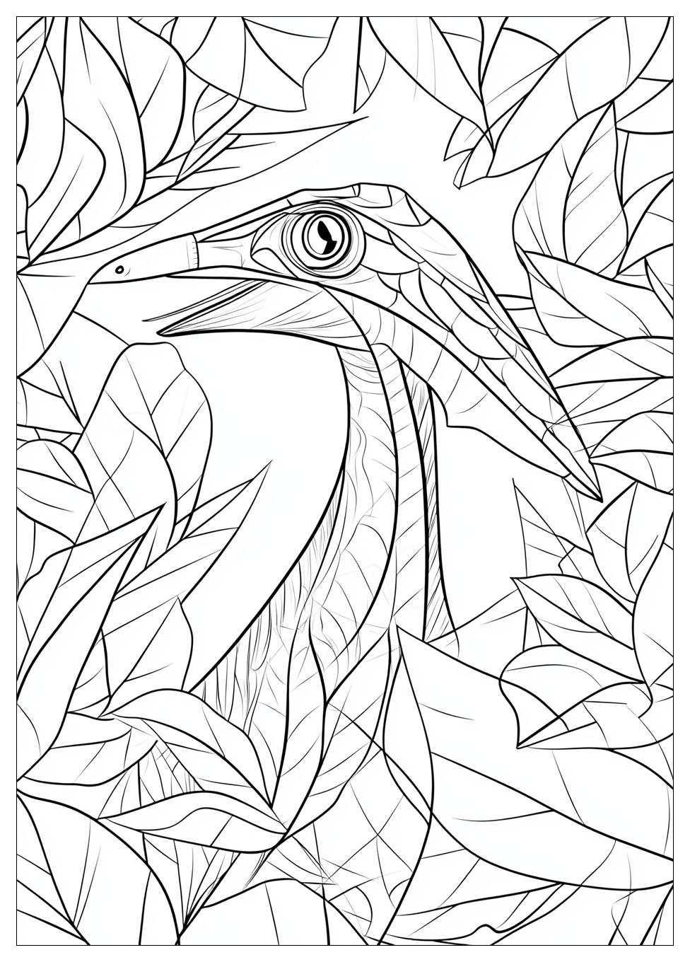 Pterodactyl Coloring Pages-17