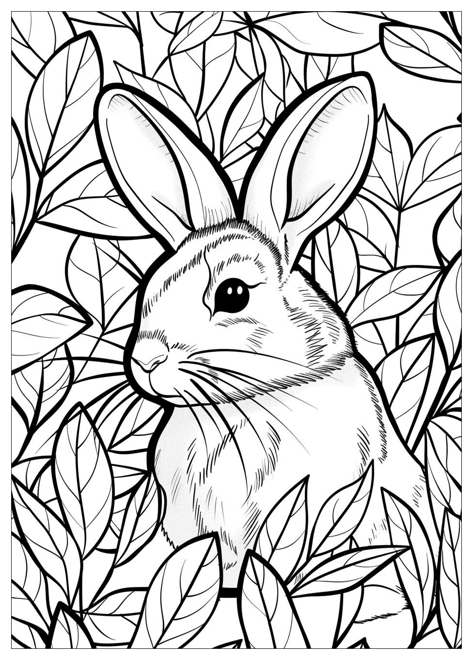Rabbit Coloring Pages-11