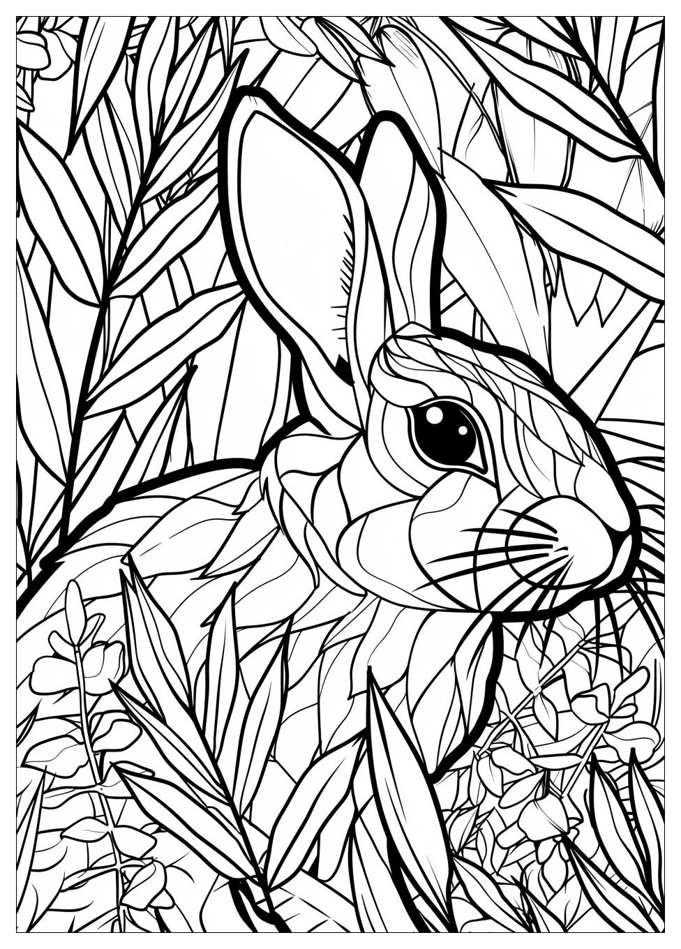 Rabbit Coloring Pages-2