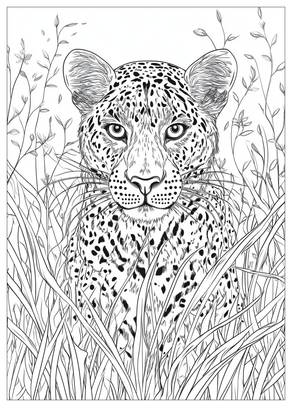 Realistic Animal Coloring Pages-13