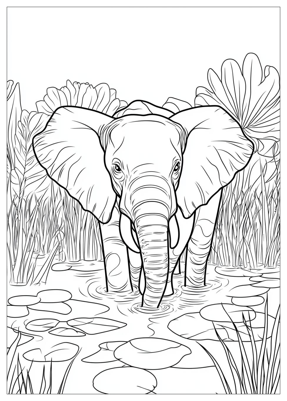 Realistic Animal Coloring Pages-4