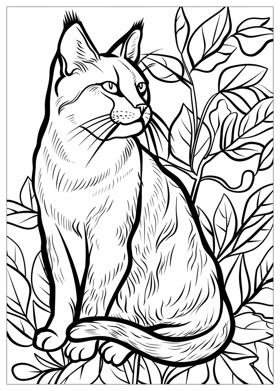 Realistic Cat Coloring Pages-5