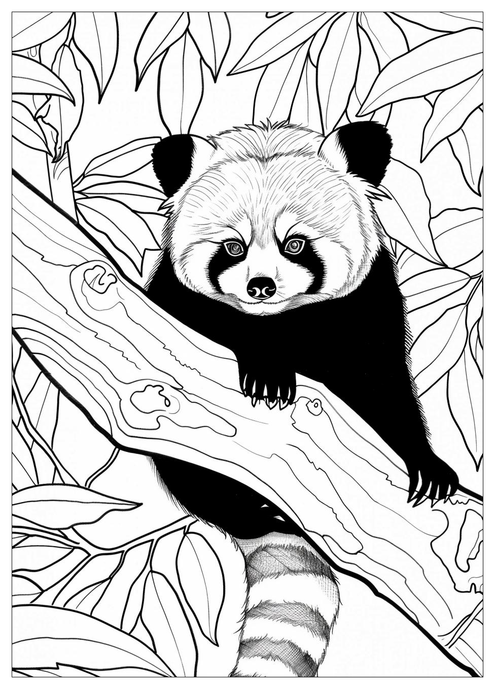 Red Panda Coloring Pages-1