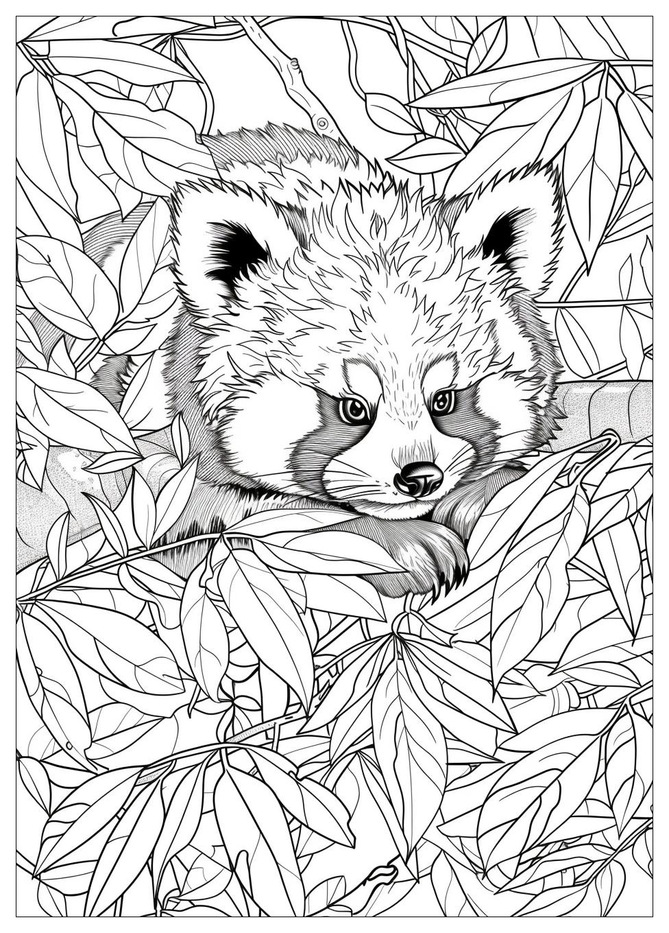 Red Panda Coloring Pages-13