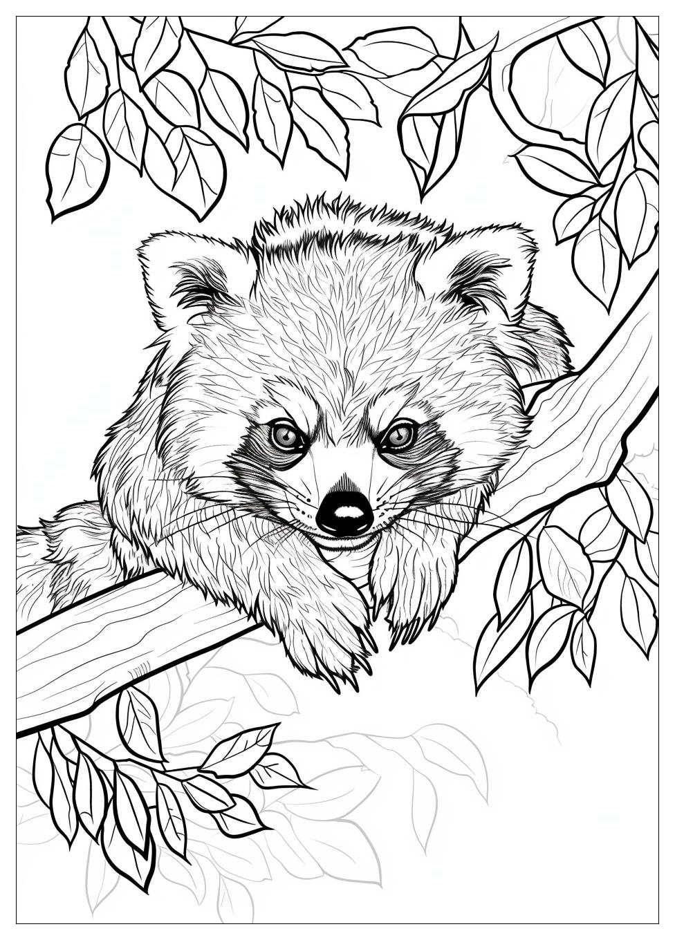 Red Panda Coloring Pages-14