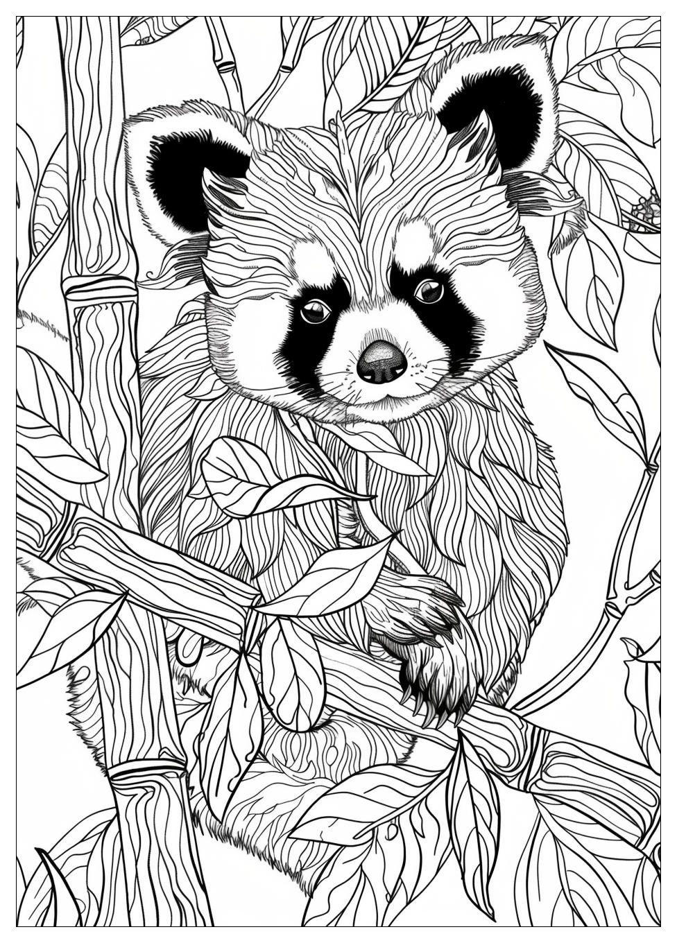 Red Panda Coloring Pages-16