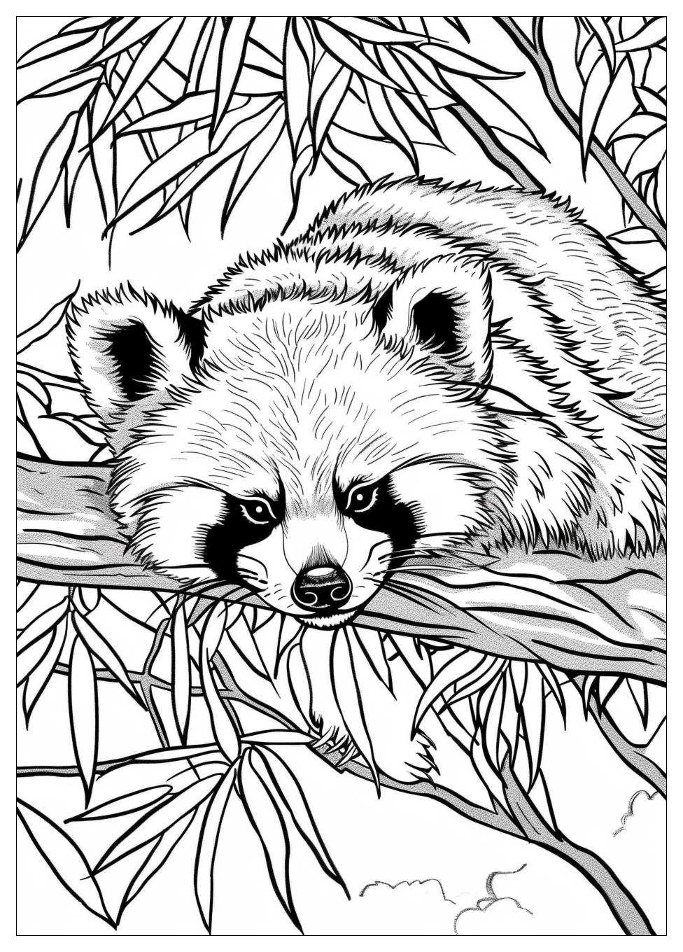 Red Panda Coloring Pages-19