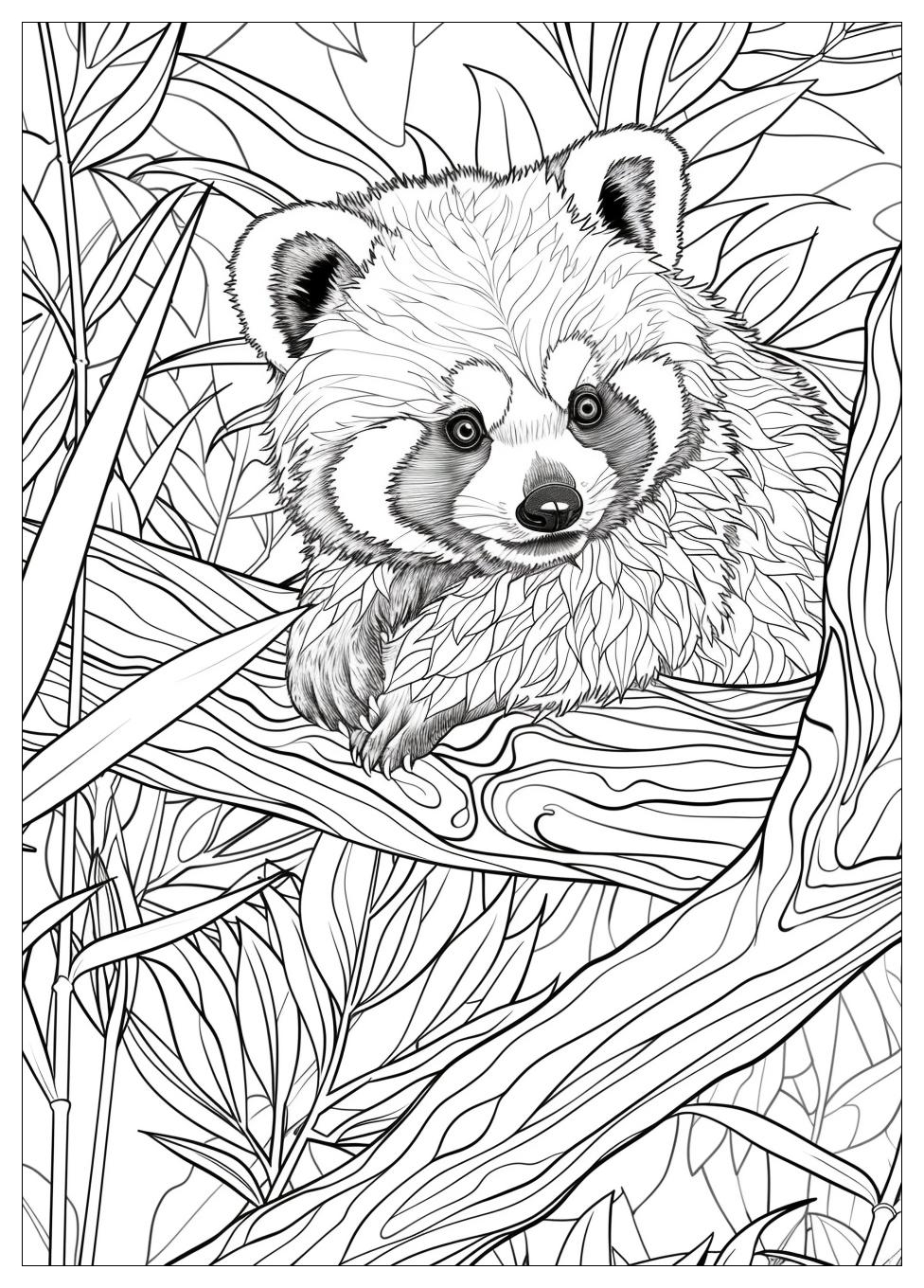 Red Panda Coloring Pages-20