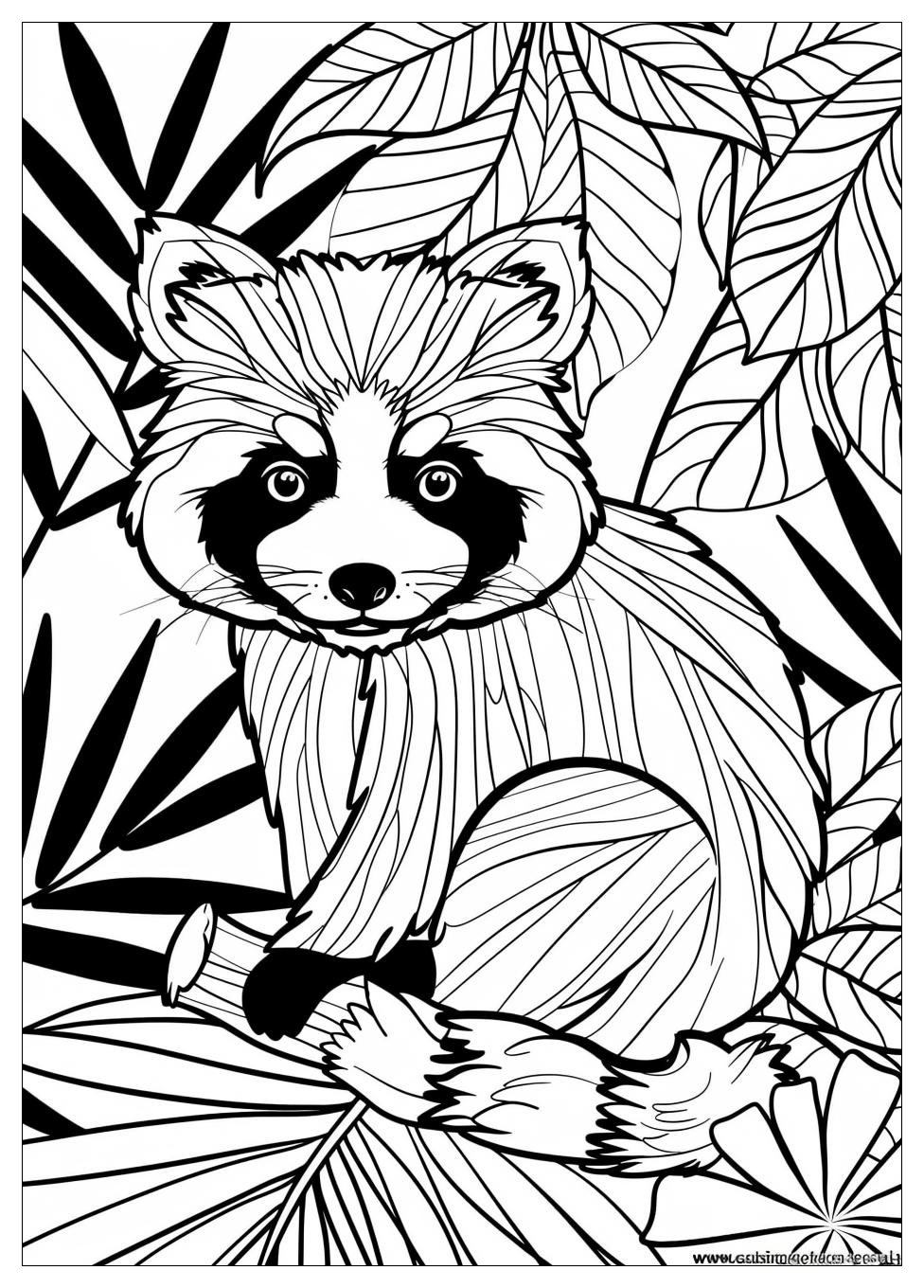 Red Panda Coloring Pages-3