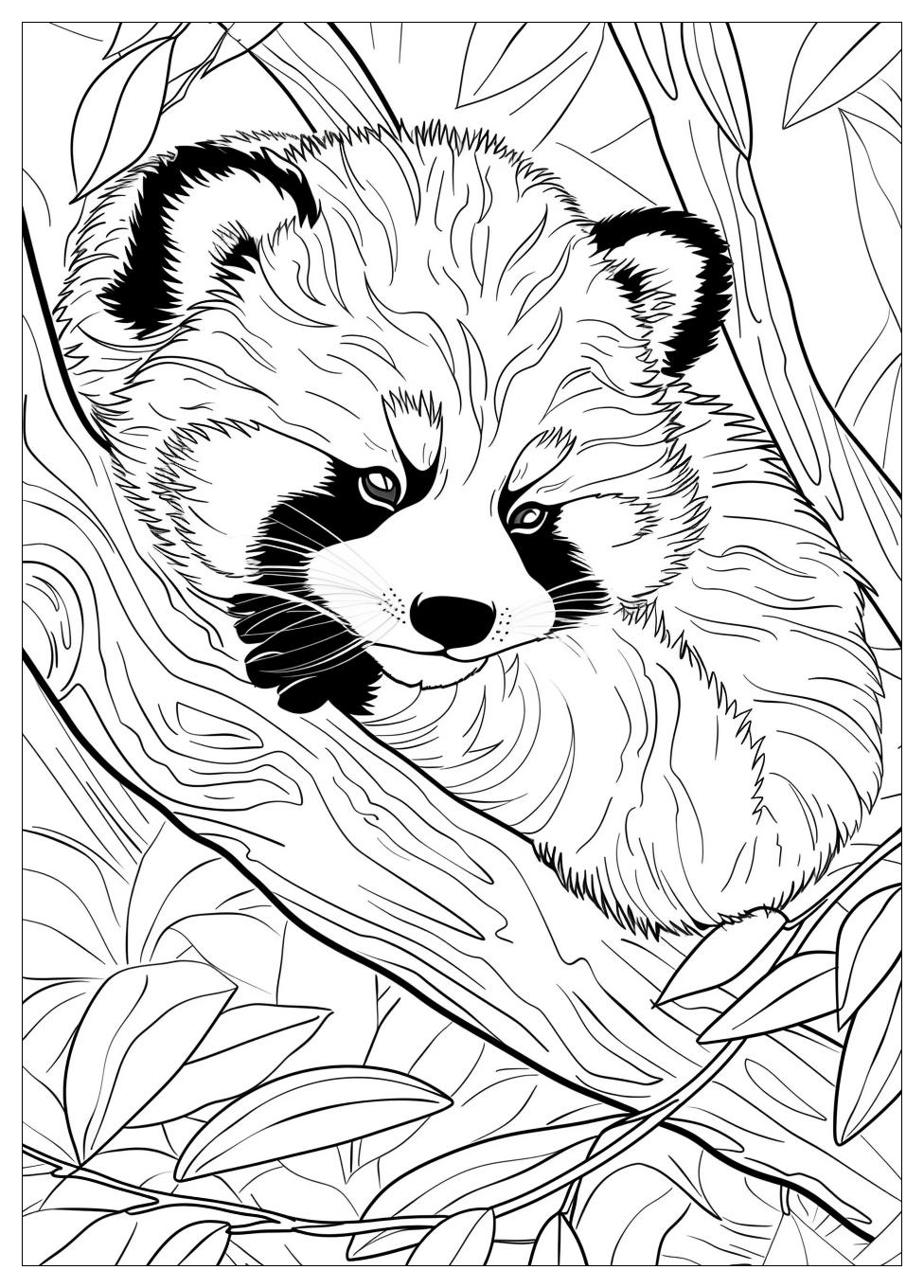 Red Panda Coloring Pages-9