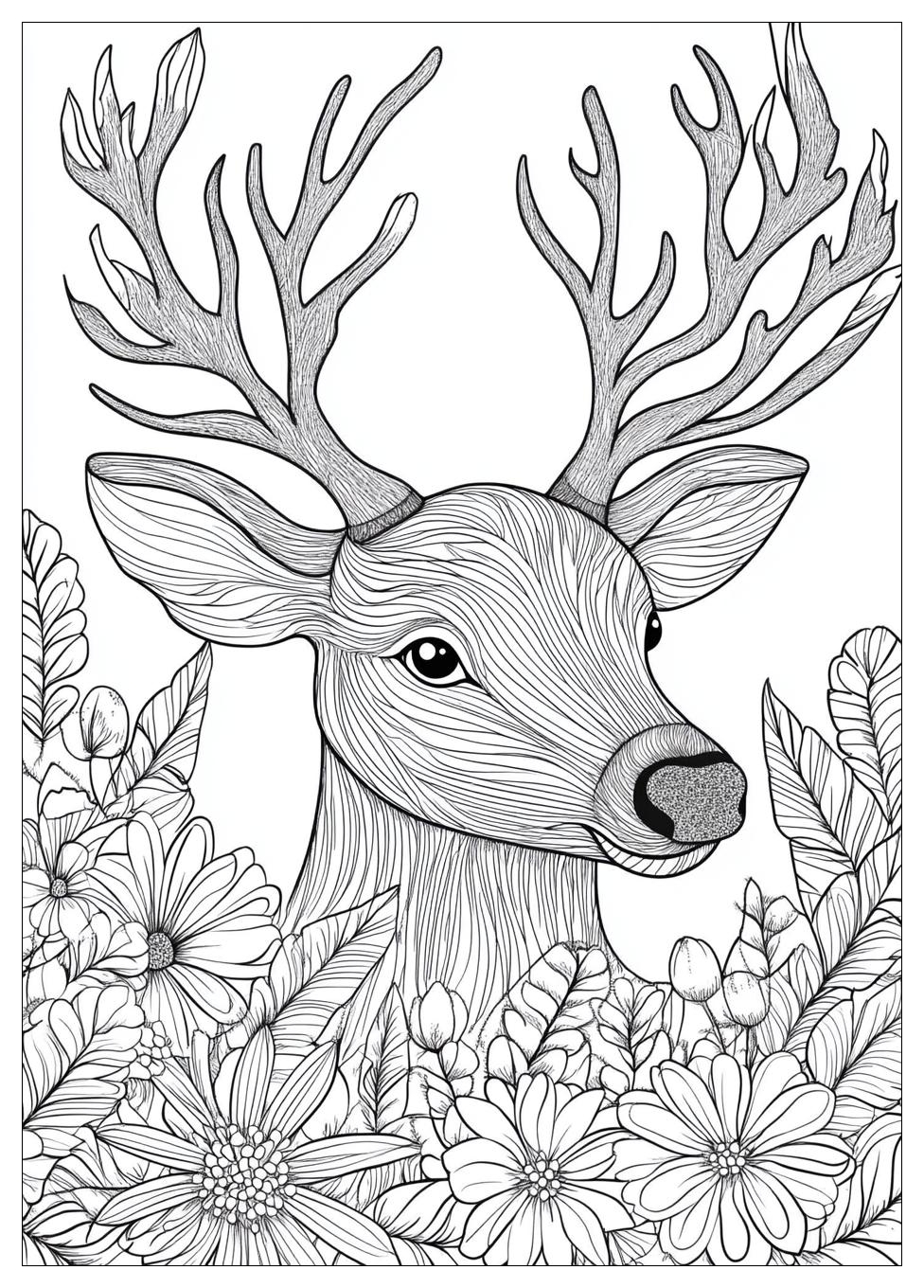 Reindeer Coloring Pages-18