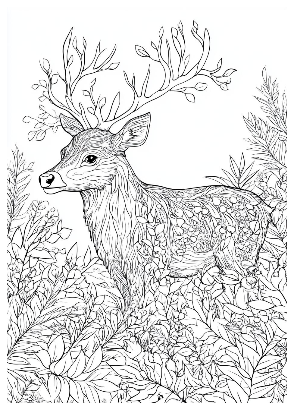 Reindeer Coloring Pages-20