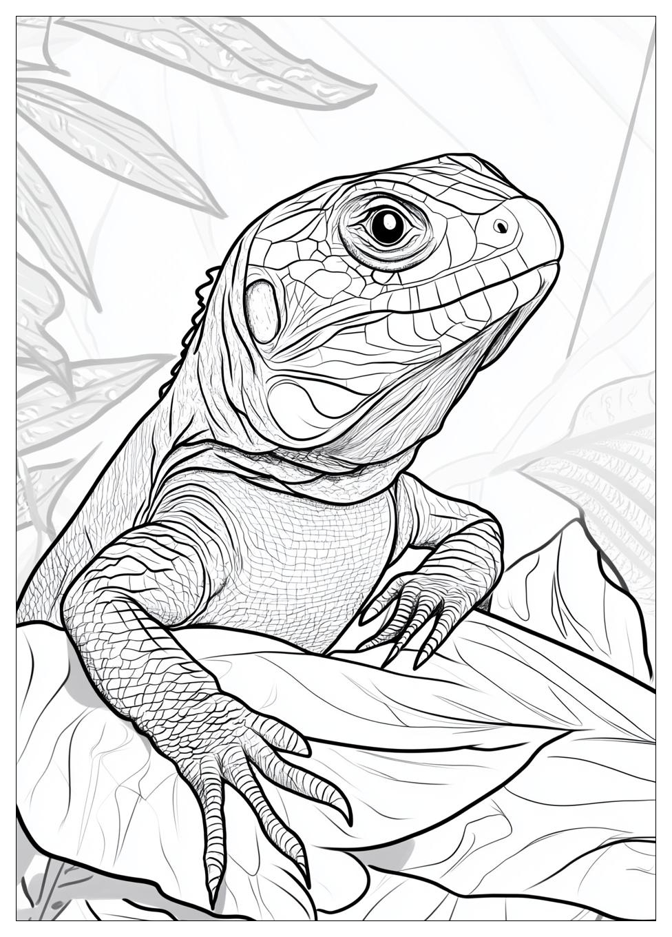 Reptile Coloring Pages-1