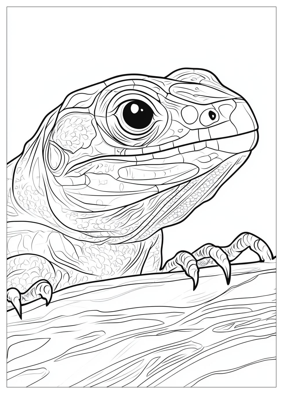 Reptile Coloring Pages-12