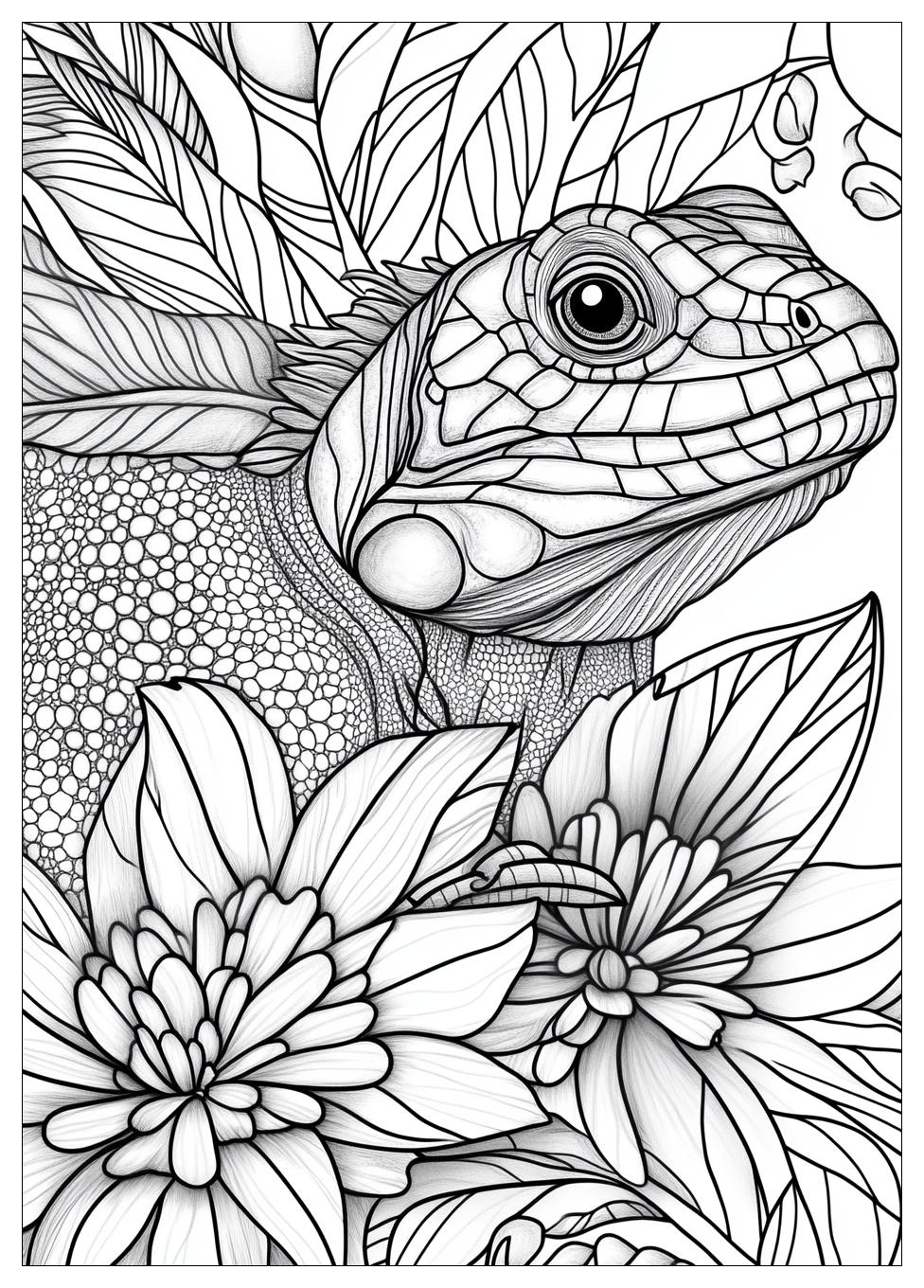 Reptile Coloring Pages-20