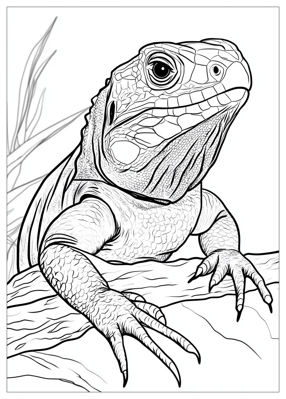 Reptile Coloring Pages-5