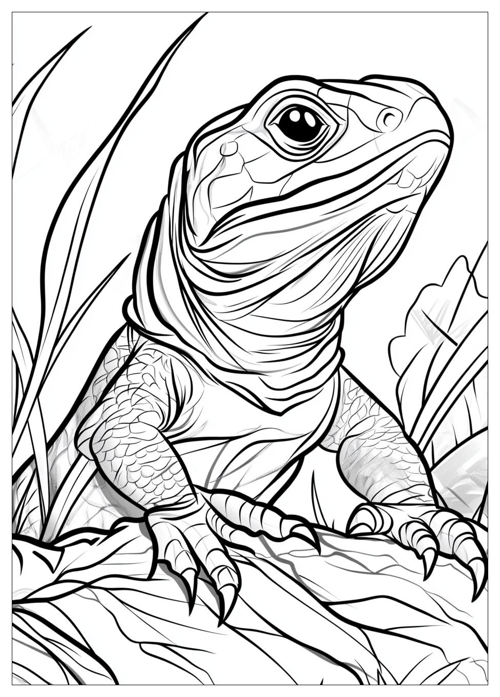 Reptile Coloring Pages-9