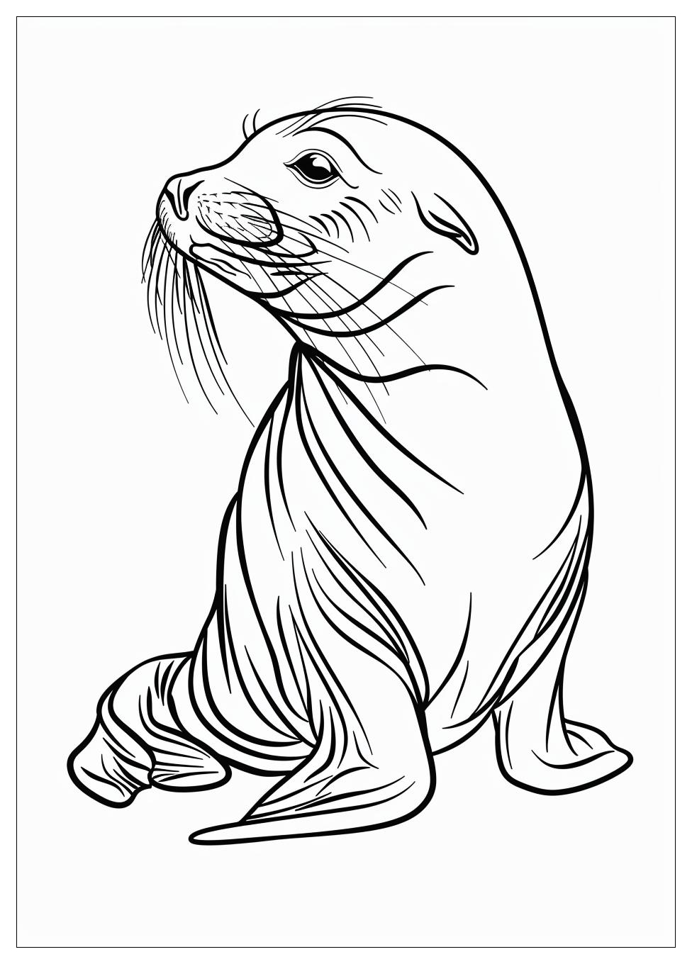 Seal Coloring Pages-16